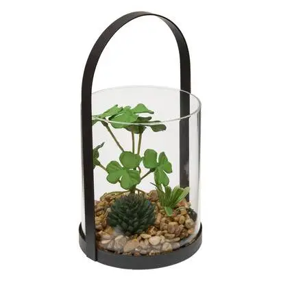 Terrarium « Wilo » Commander Maintenant