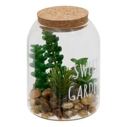 Terrarium "Ady" Affaire À Saisir