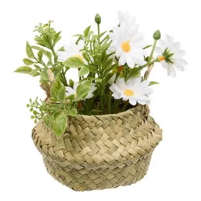 Livraison Express Composition florale "Tifi"