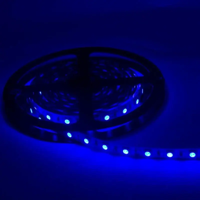 Offre Exclusive Ruban LED 12V 5M BLEU IP54 SMD 2835 60LED/m