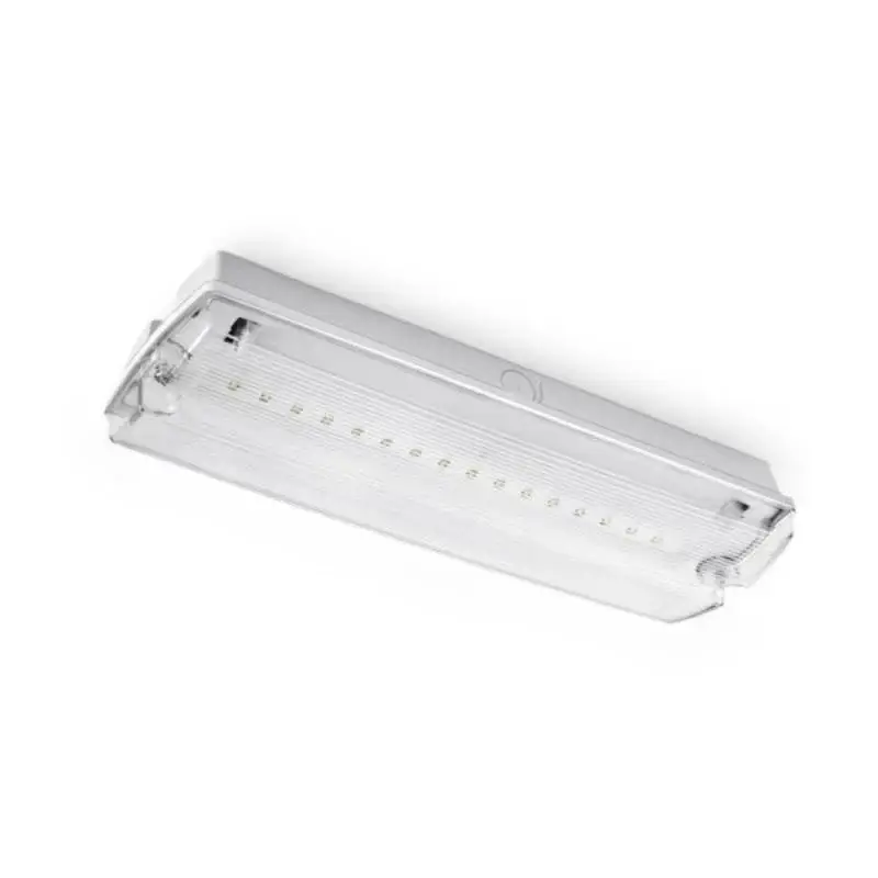 Bloc de secours BAES LED Batterie 4 Pictogrammes 4W IP65 Vente Flash