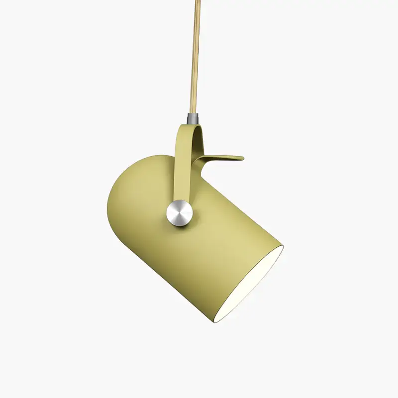 Seulement Aujourd&rsquo;hui Coloured aluminium pendant spotlight
