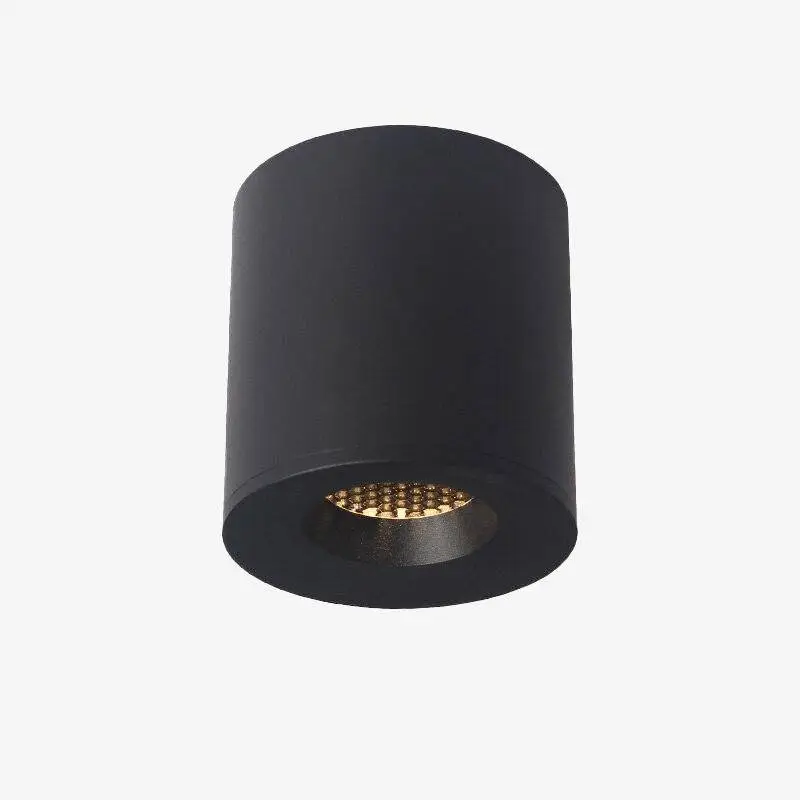 Loft-style metal cylinder led spotlight Meilleure Vente