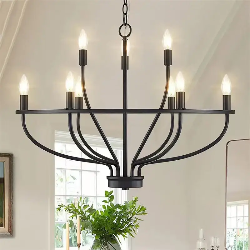 Commander Vite Retro industrial iron chandelier with circular branches