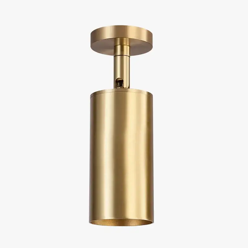 Offre Du Jour Modern minimalist 360° rotatable led ceiling light with replaceable...