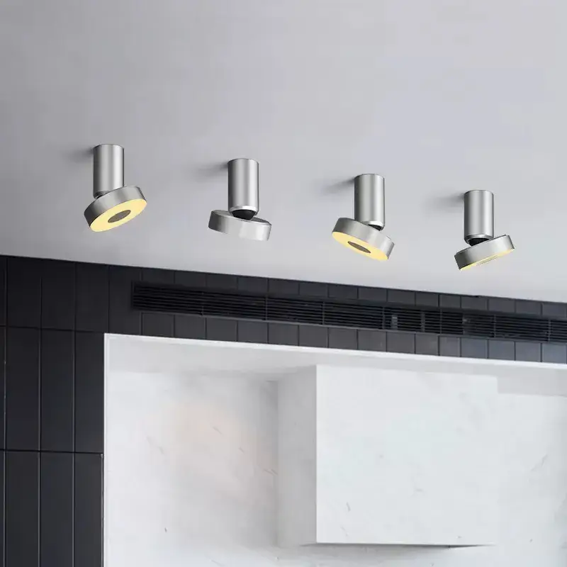 Seulement Aujourd'hui Modern led ceiling light for multiple rooms spotlights