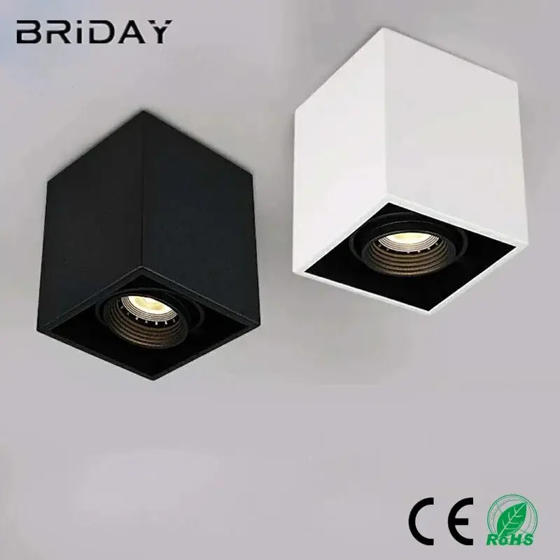 Prix Bas Waterproof dimmable led ceiling light for outdoor use
