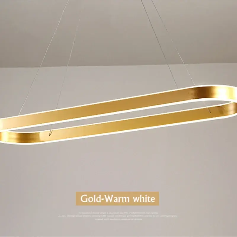Petit Prix Modern aluminium and acrylic pendant light for elegant interiors