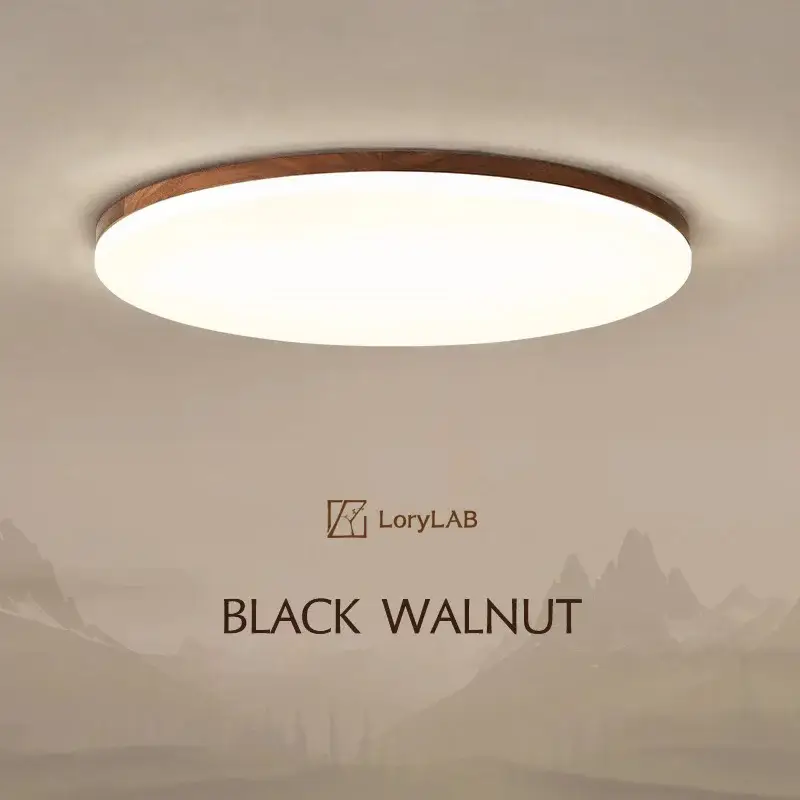 Réduction Walnut wood flush mount, modern minimalism wabi-sabi, ultrathin eye...