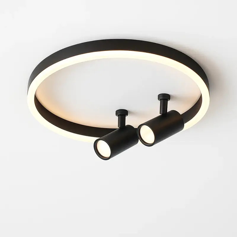 Modern led ceiling light with spotlight for interior decoration Nouveauté