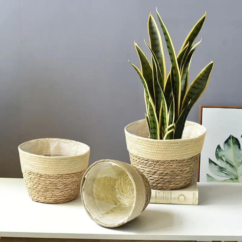 Bon Marché Seagrass basket handwoven planter decorative for home