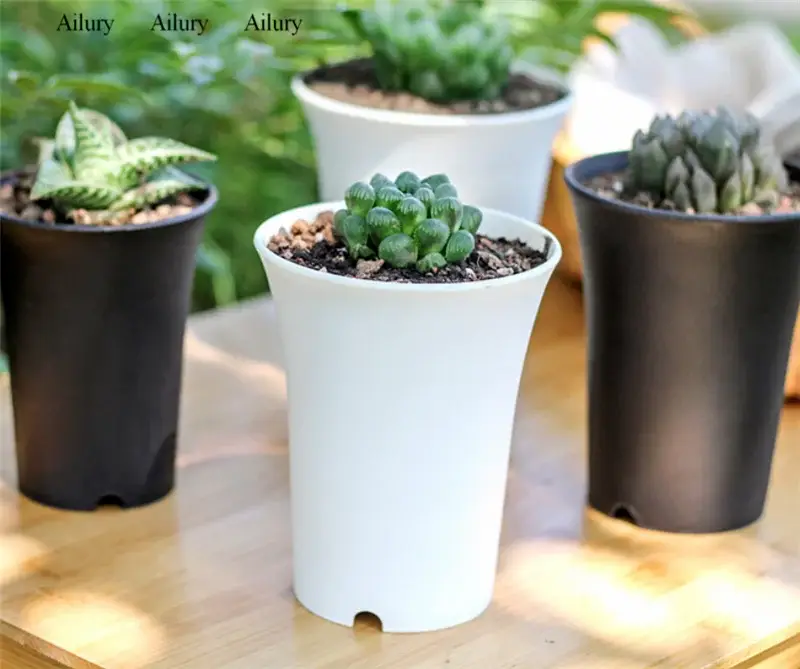 Succulent plant thick plastic pot vintage style round Soldes