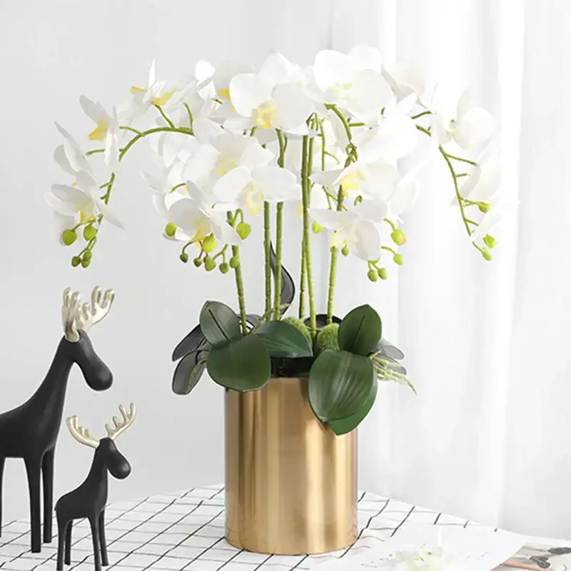 Preserved phalaenopsis orchid artificial flowers for wedding decora… Nouvelle Collection