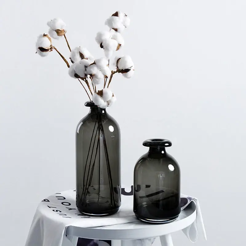 Pas Cher Nordic glass vase for flowers modern interior decoration