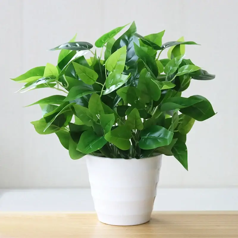 Commander Maintenant Artificial plastic plants for indoor and office decoration