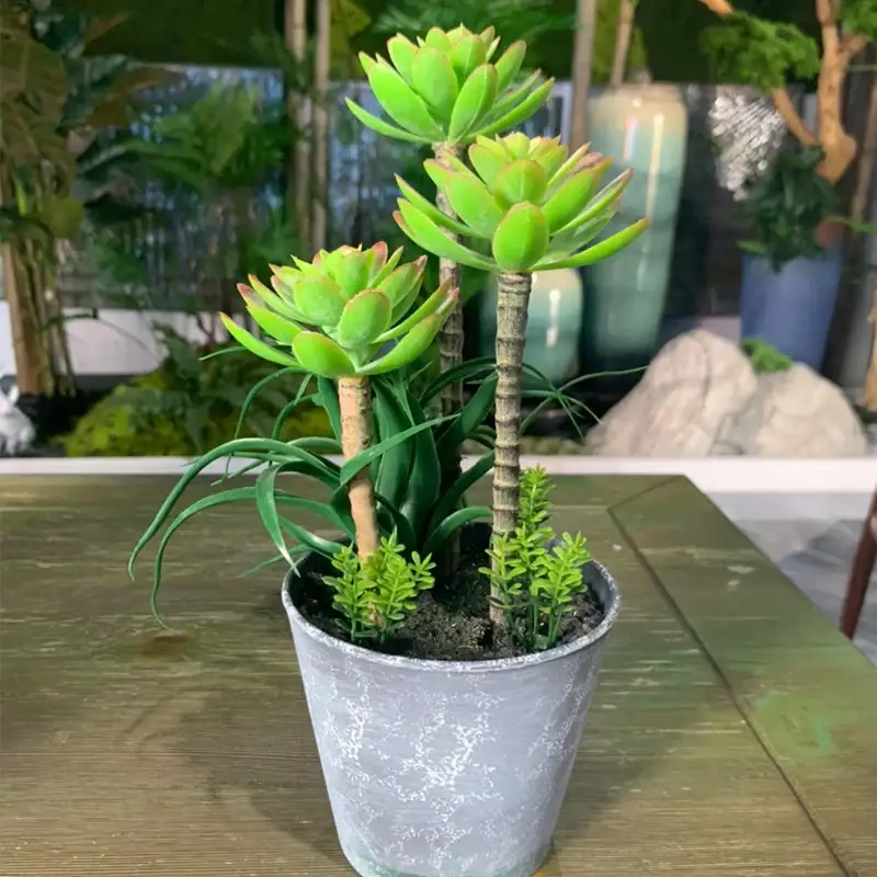 Artificial tropical cactus for desk decoration Affaire À Saisir