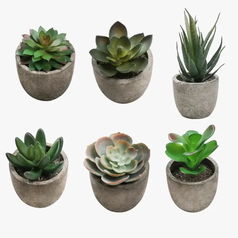 Artificial succulent plants for modern interior decoration Achetez Aujourd&rsquo;hui