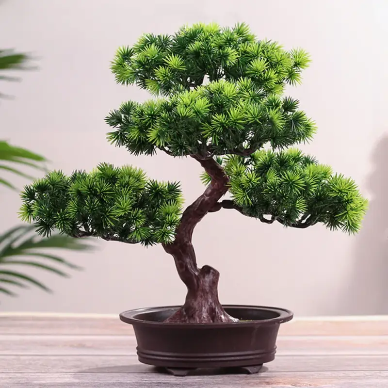 Decorative potted bonsai-style plant for home or office Jusqu'à Épuisement Des Stocks