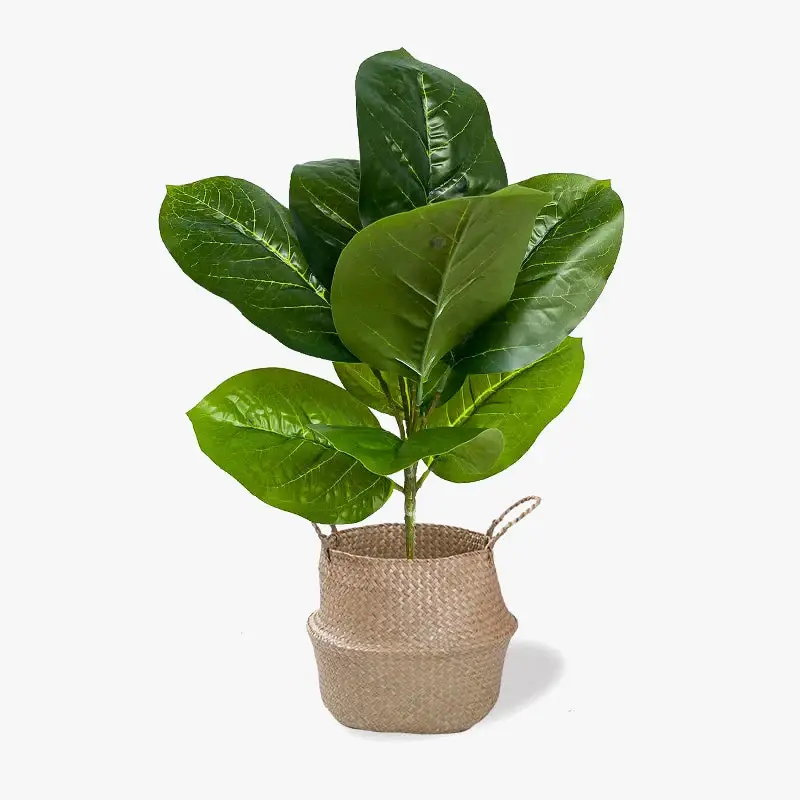 Prix Promo Artificial plant branch faux rubber ficus for indoor decoration