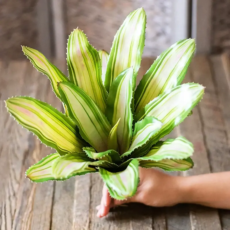 Artificial succulents real touch for interior decoration Produit De Marque