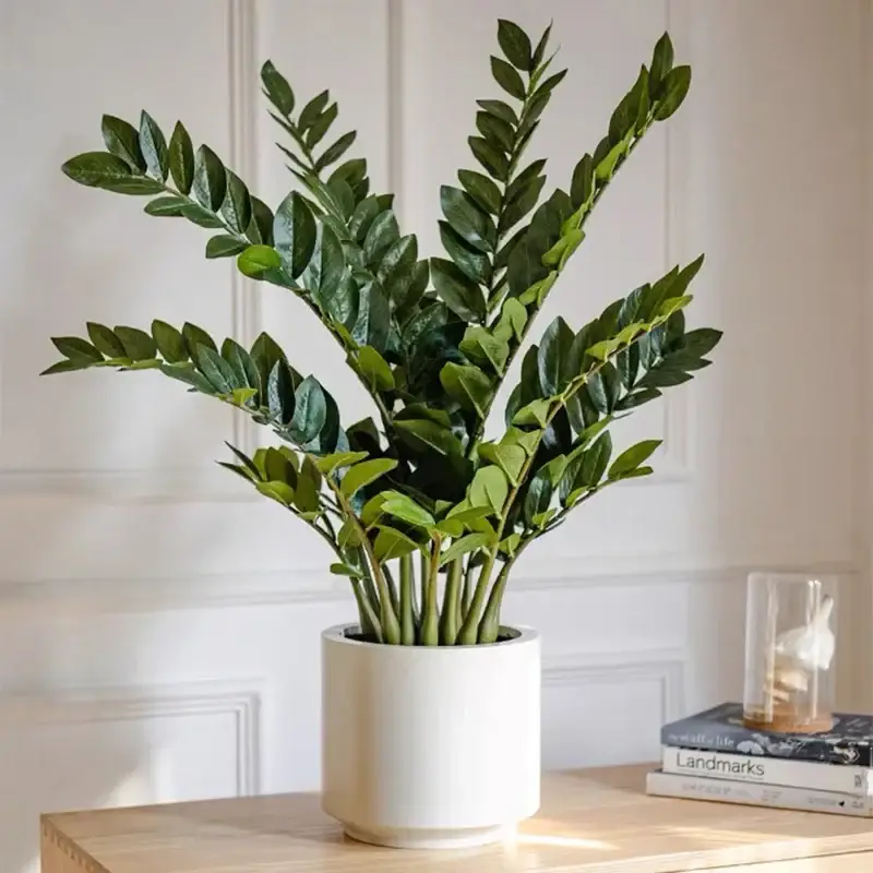 Top Vente Large artificial ficus branches for tropical decor