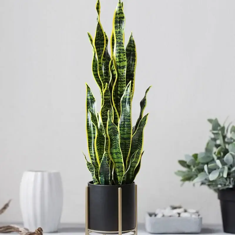 Realistic tropical artificial plants for indoor and outdoor decoration Dernier Modèle