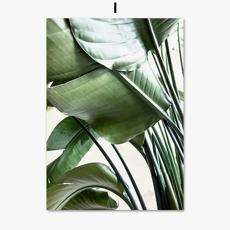 Monstera leaf canvas wall art indoor plant decor Bon Plan