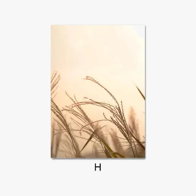 Certifié Nordic landscape beach seagull reed art deco poster