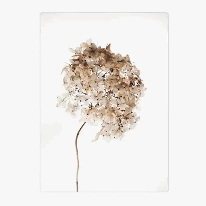 Reed canvas posters nordic floral decoration Petit Prix