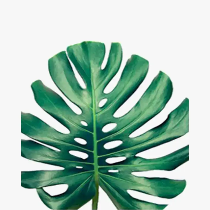 Expédié Aujourd'hui Green leaves paint by numbers oil painting decorative diy kit