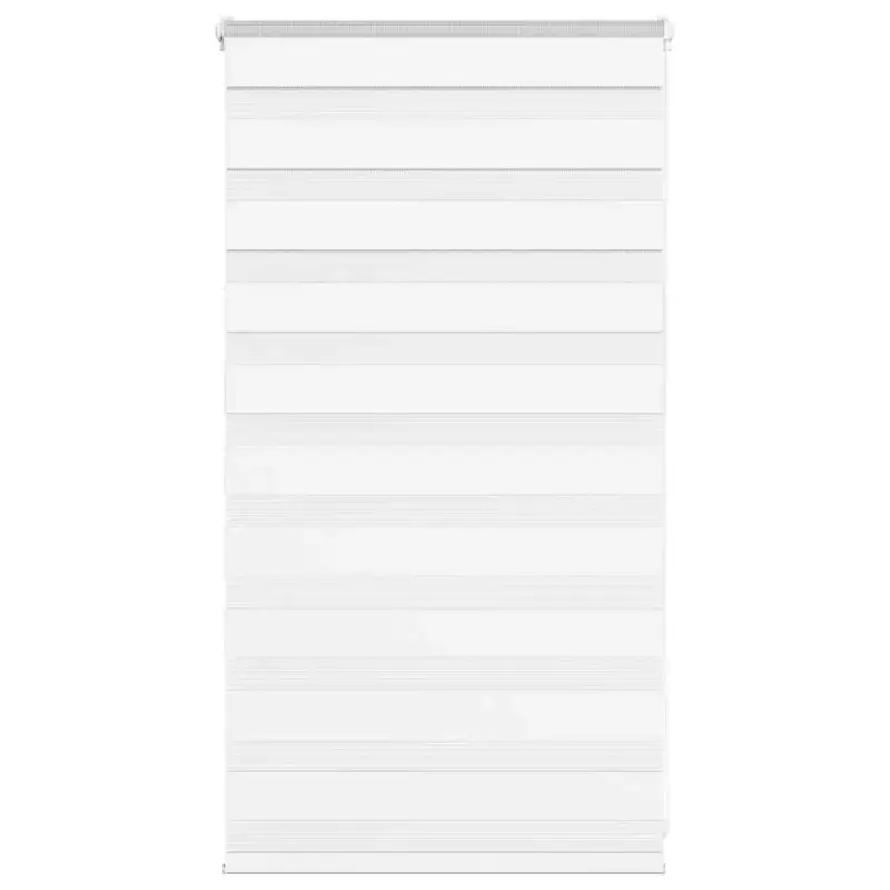 Promotion Day and night zebra blind for living room window