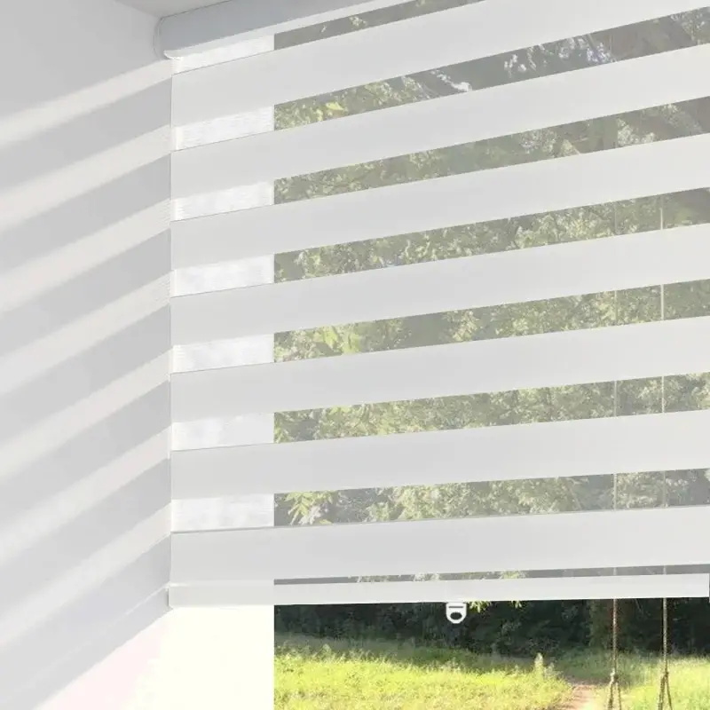 Custom zebra day and night roller blind for window Livraison Express