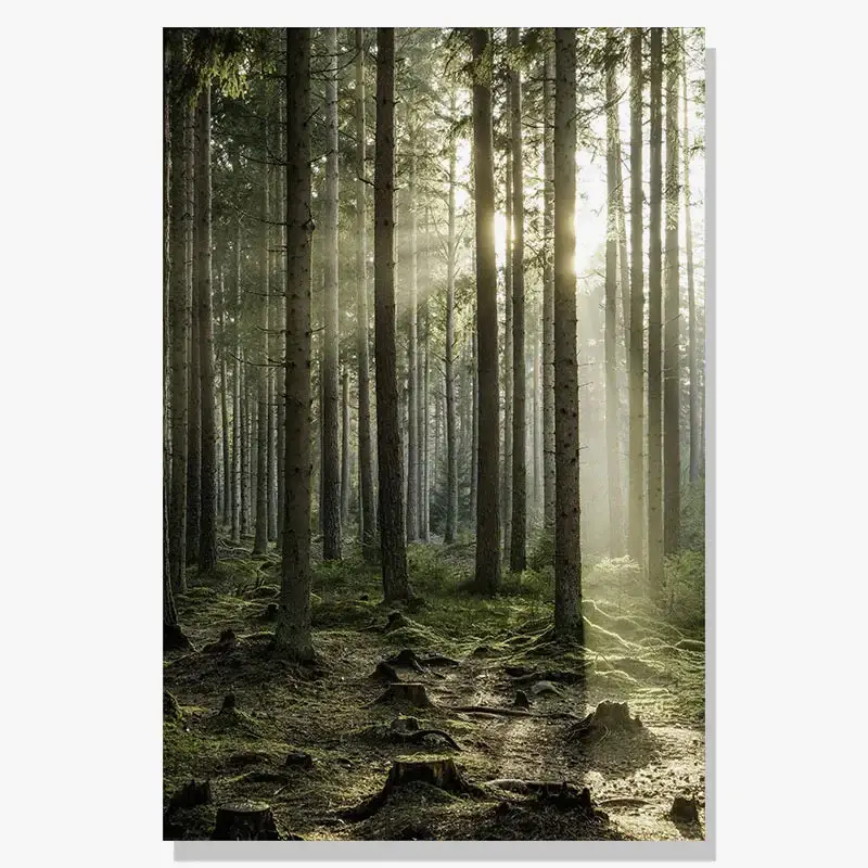 Dernière Chance Nordic winter landscape deer owl sunlight wall art