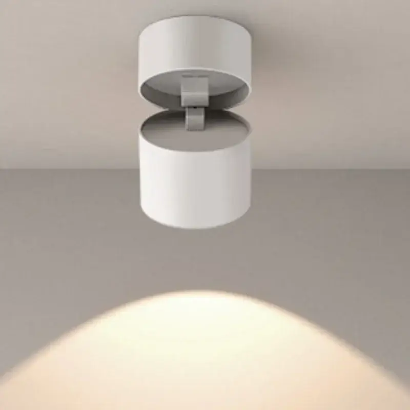 Adjustable outdoor led spotlight with no-drill installation Réduction
