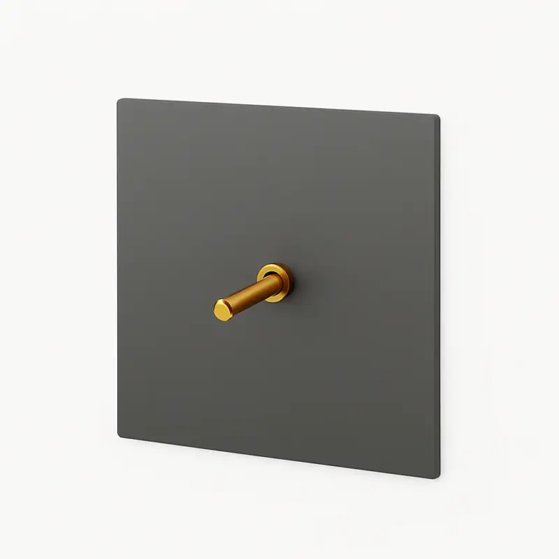 Single switch in brushed grey and gold steel Bon Marché