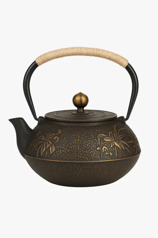 Acheter Direct Japanese cast iron teapot with mesh infuser
