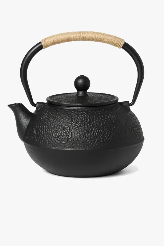 Nouveauté Japanese cast iron tea set with infuser