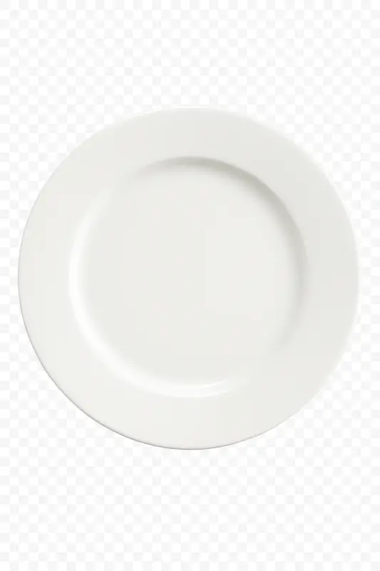 Porcelain dinner plate with decorative motif round table 27 cm Prix Cassé