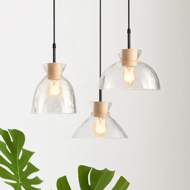 Meilleur Choix Transparent glass led pendant light for home decor