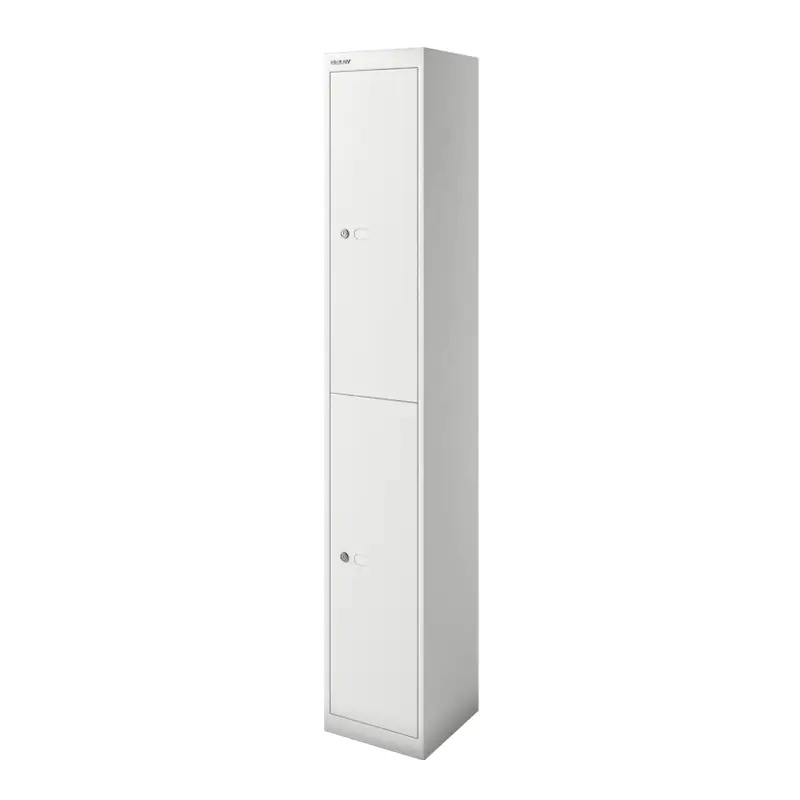 Commander Vite Meuble de rangement CLK 2 casiers Gris clairBISLEY