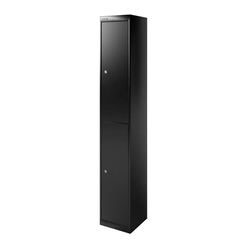 Storage Unit CLK 2 lockers BlackBISLEY Expédition Rapide
