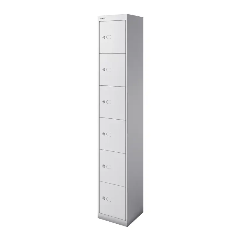 Meuble de rangement CLK 6 casiers Gris clairBISLEY Meilleur Prix