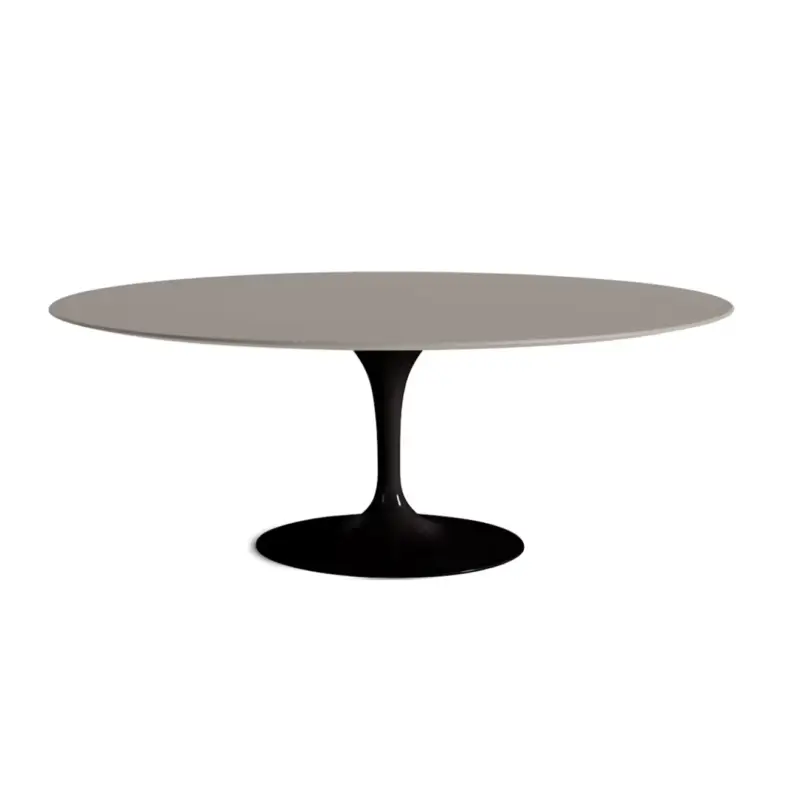 Dining Table SAARINEN Oval Fenix Top Modern ClayKNOLL Meilleur Prix