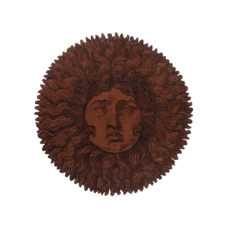 Affaire À Saisir Rug FORNASETTI RE SOLE Burnt umberCC-TAPIS