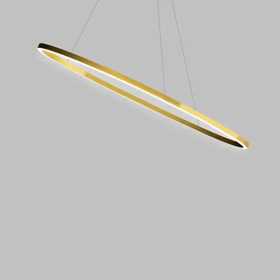 Populaire Ellisse Minor Downlight Suspensions LED