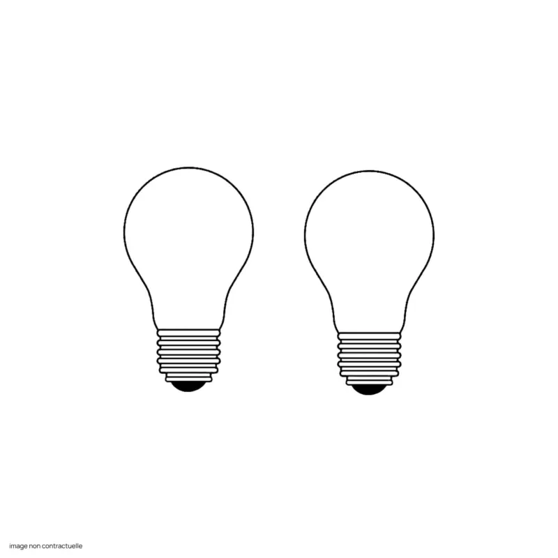 Must-Have 2 x Ampoule E14 5W LED