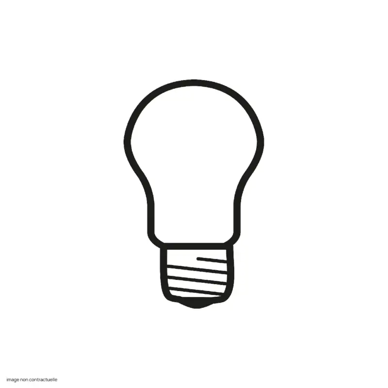 Top Vente Ampoule E27 17W LED