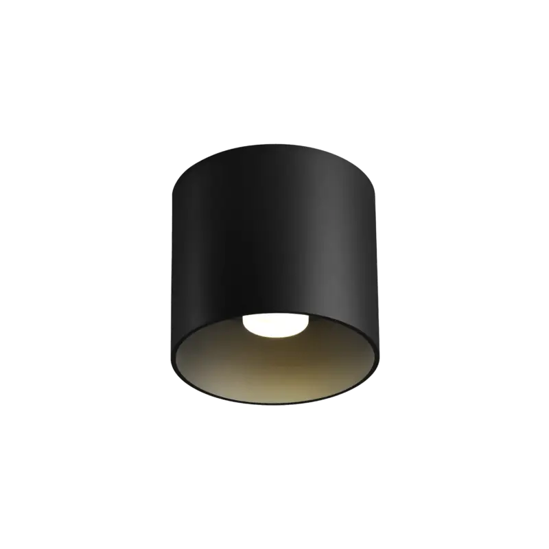 Expédition Rapide Ray 1.0 LED Colour warm dimming Plafonniers