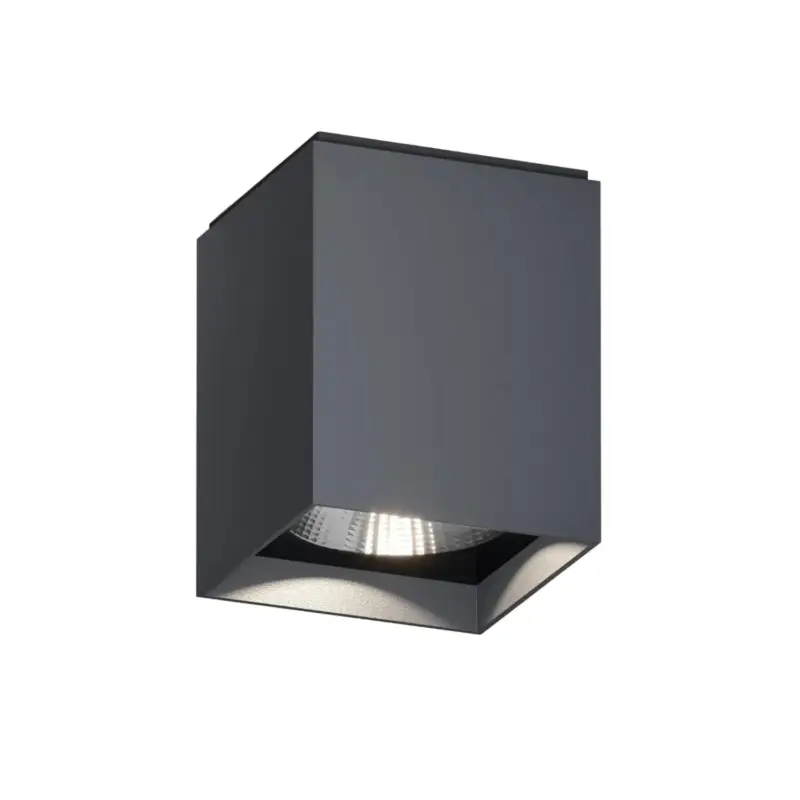 Up S .DALI-2 Ready Plafonniers Outdoor Populaire