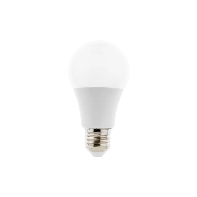 Ampoule A65 LED 2700K Opale Accessoires Usine Directe